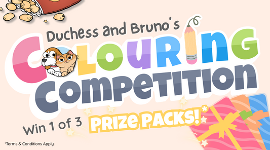 Colouring Competition 2025