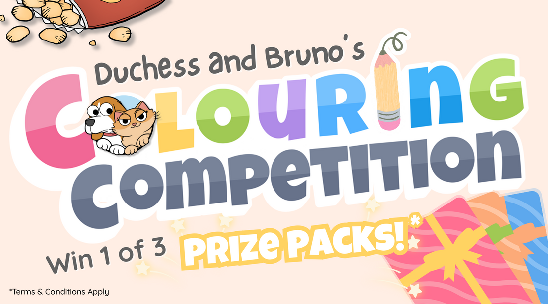 Colouring Competition 2025