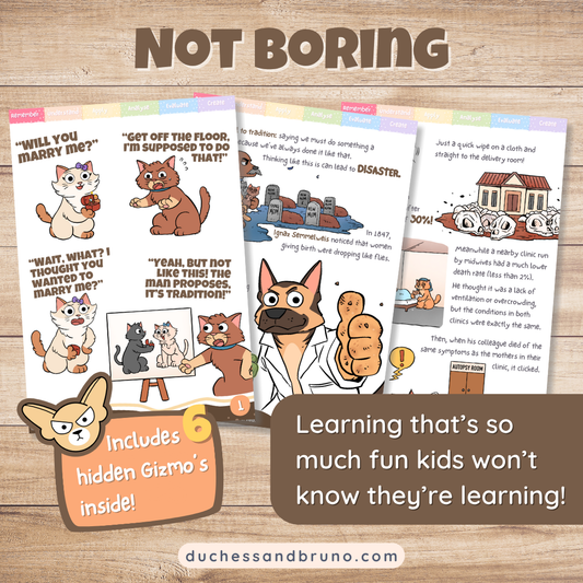 Appeal to Tradition Fallacy Activity Pack