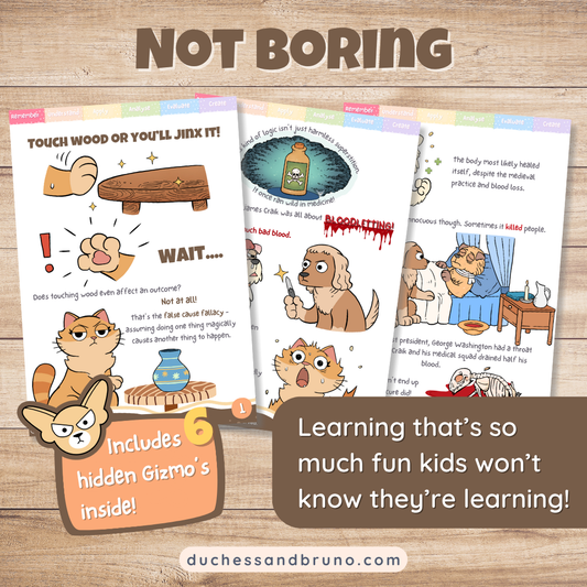 False Cause Fallacy Activity Pack