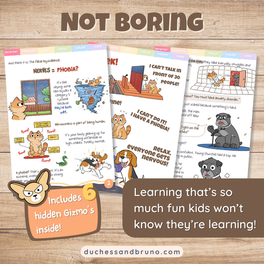 False Equivalence Activity Pack