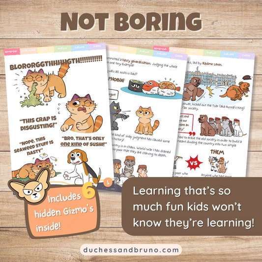 Hasty Generalisation Fallacy Activity Pack