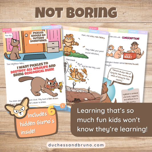 Straw Man Argument Fallacy Activity Pack