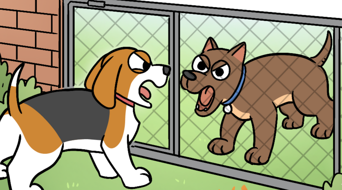 Two dogs barking at each other trying to prove how tough they are behind a fence