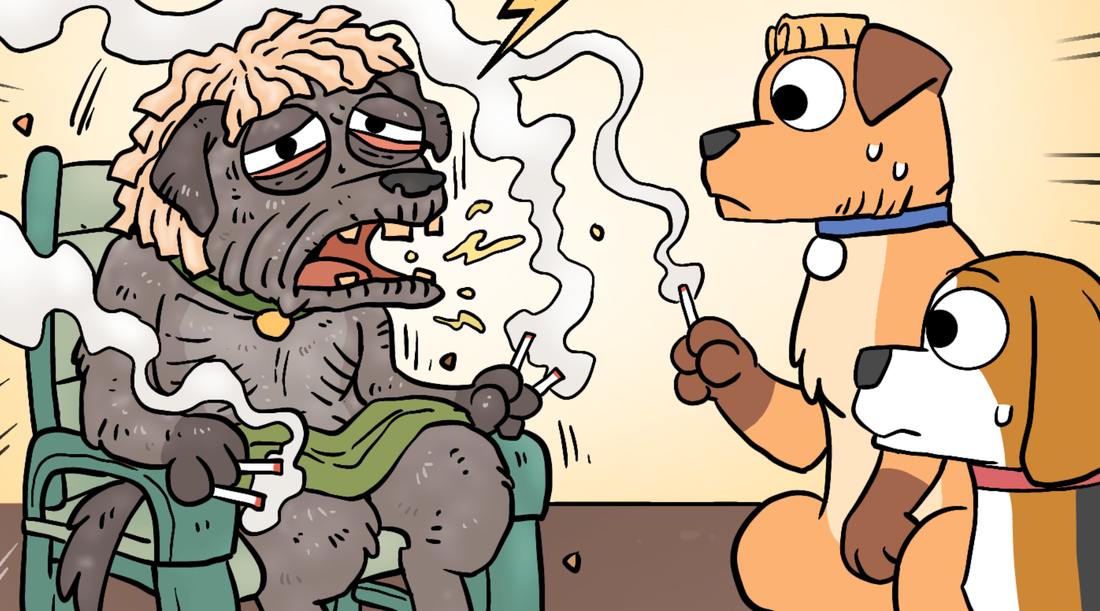 A haggard grandpa dog coughs violently in his chair as the brown dog and Bruno look on in shock