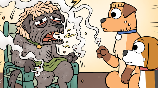 A haggard grandpa dog coughs violently in his chair as the brown dog and Bruno look on in shock