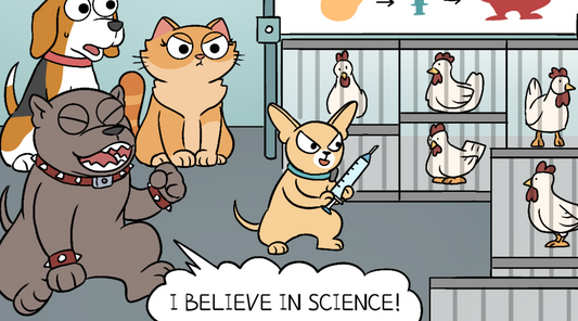 A scientist is about to give an injection to some chickens using the appeal to authority fallacy