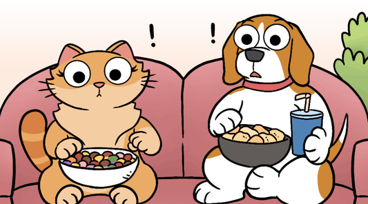 Duchess the cat and Bruno the beagle sit on the couch looking guilty as a charity ad plays on TV