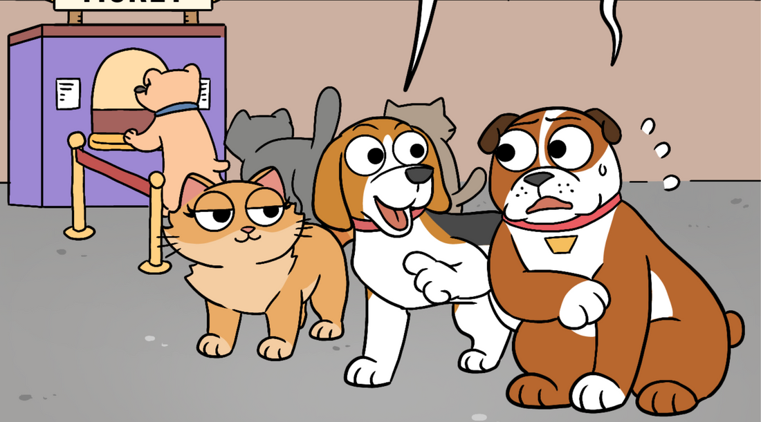 Two dogs and cat go on a roller coaster to illustrate the appeal to ignorance logical fallacy