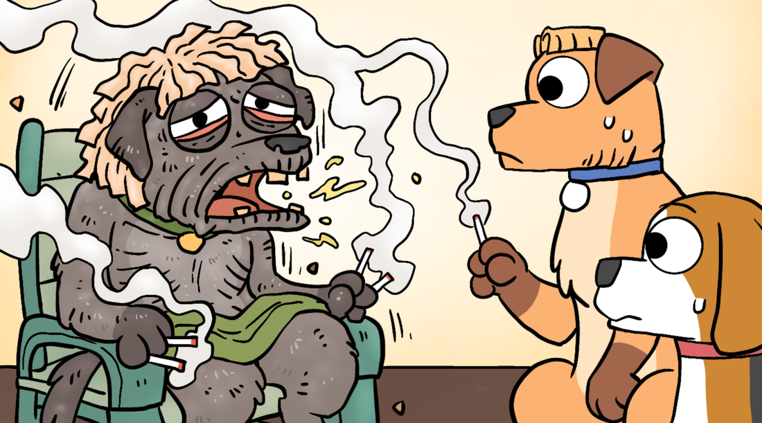 A haggard cartoon grandpa dog looking anything but fine illustrating the anecdotal fallacy