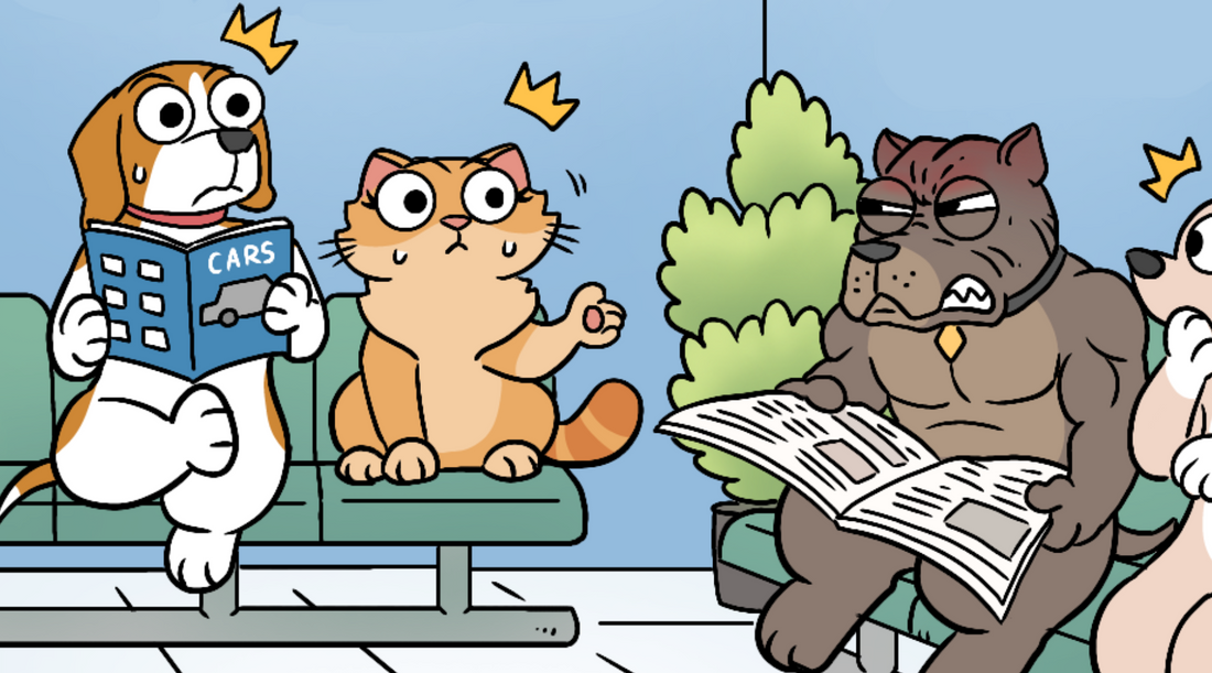 A cat gossiping about a pit bull seated at a vet