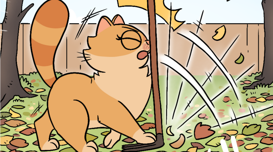 Duchess the comic cat being whacked in the face by a rake