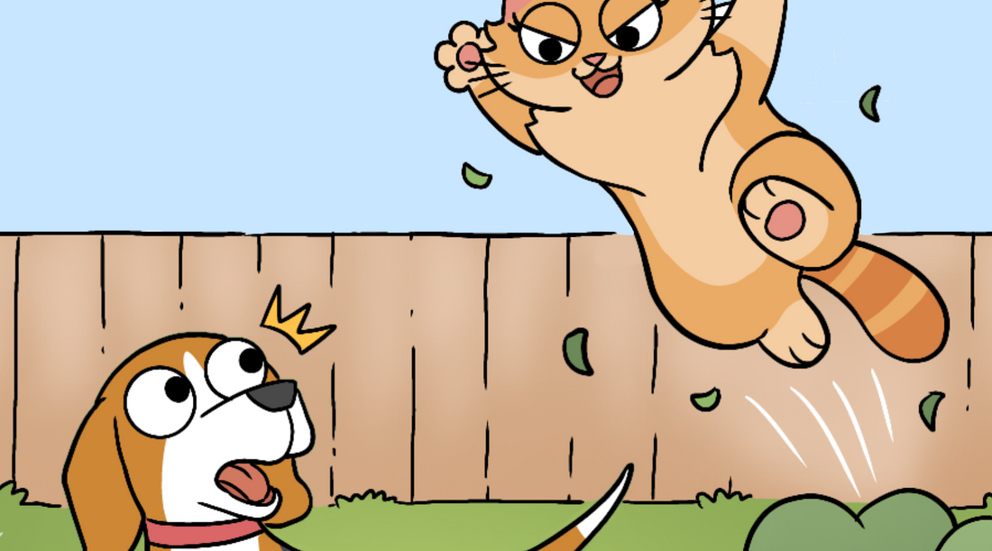 A comic dog and cat wrestling in the backyard