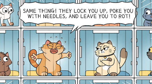 A comic with Duchess the cat making a false equivalence by comparing the vet to jail