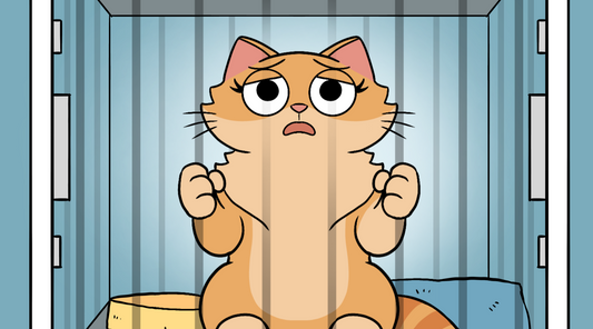 Close-up of Duchess sitting in a vet kennel with her fists clenched, looking distressed and indignant between the cage bars