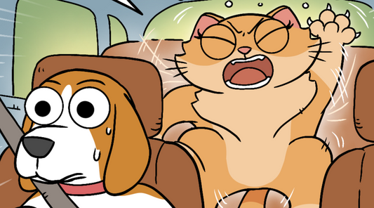 A funny cat and dog comic showing a cat making a hasty generalisation about going to the vet