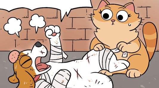 Close-up of Bruno the beagle wrapped head to toe in bandages, fist raised defiantly, with Duchess the cat looking on nervously in a brick alley