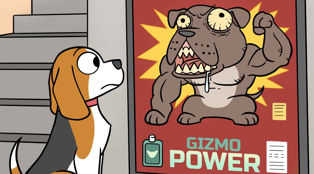 Why Should I Learn Logical Fallacies?