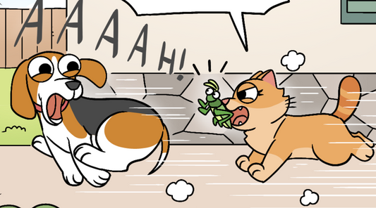 A dog chasing a cat with a cucumber to illustrate the you too fallacy