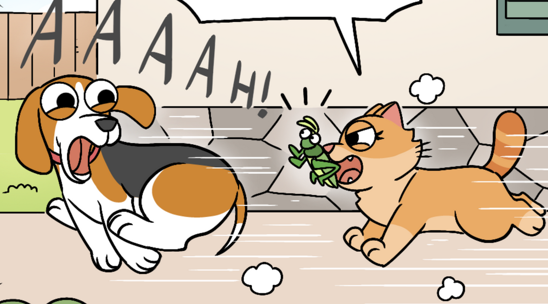 Close-up of Duchess sprinting after a screaming Bruno, holding Hoppy the grasshopper in his face outside the house
