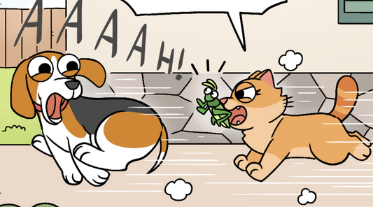 Close-up of Duchess sprinting after a screaming Bruno, holding Hoppy the grasshopper in his face outside the house