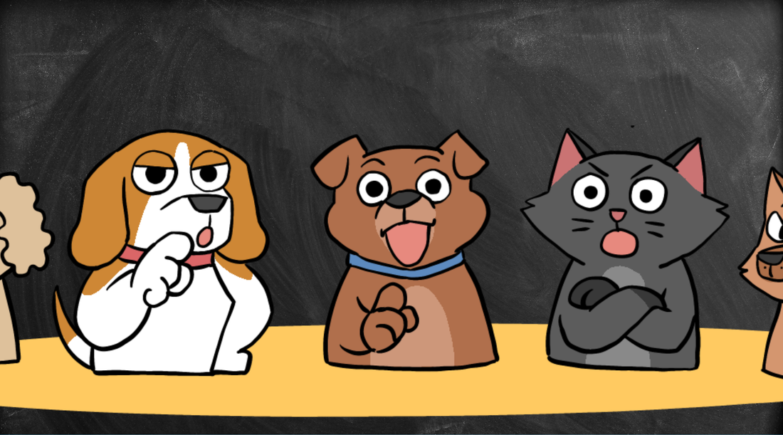 Duchess, Bruno and friends at a school desk in front of a chalkboard - a guide to teaching logical fallacies to kids