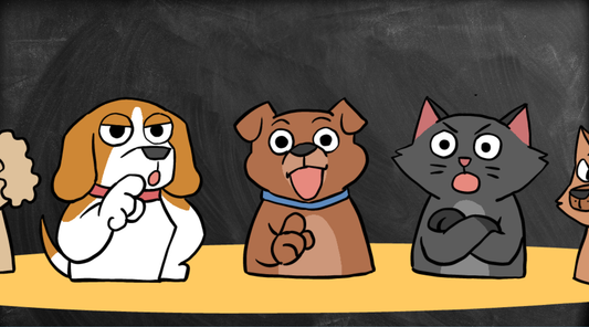 Duchess, Bruno and friends at a school desk in front of a chalkboard - a guide to teaching logical fallacies to kids
