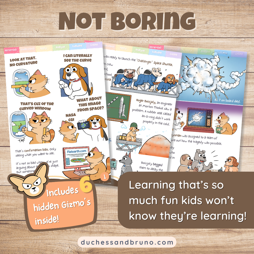 Confirmation Bias Fallacy Activity Pack