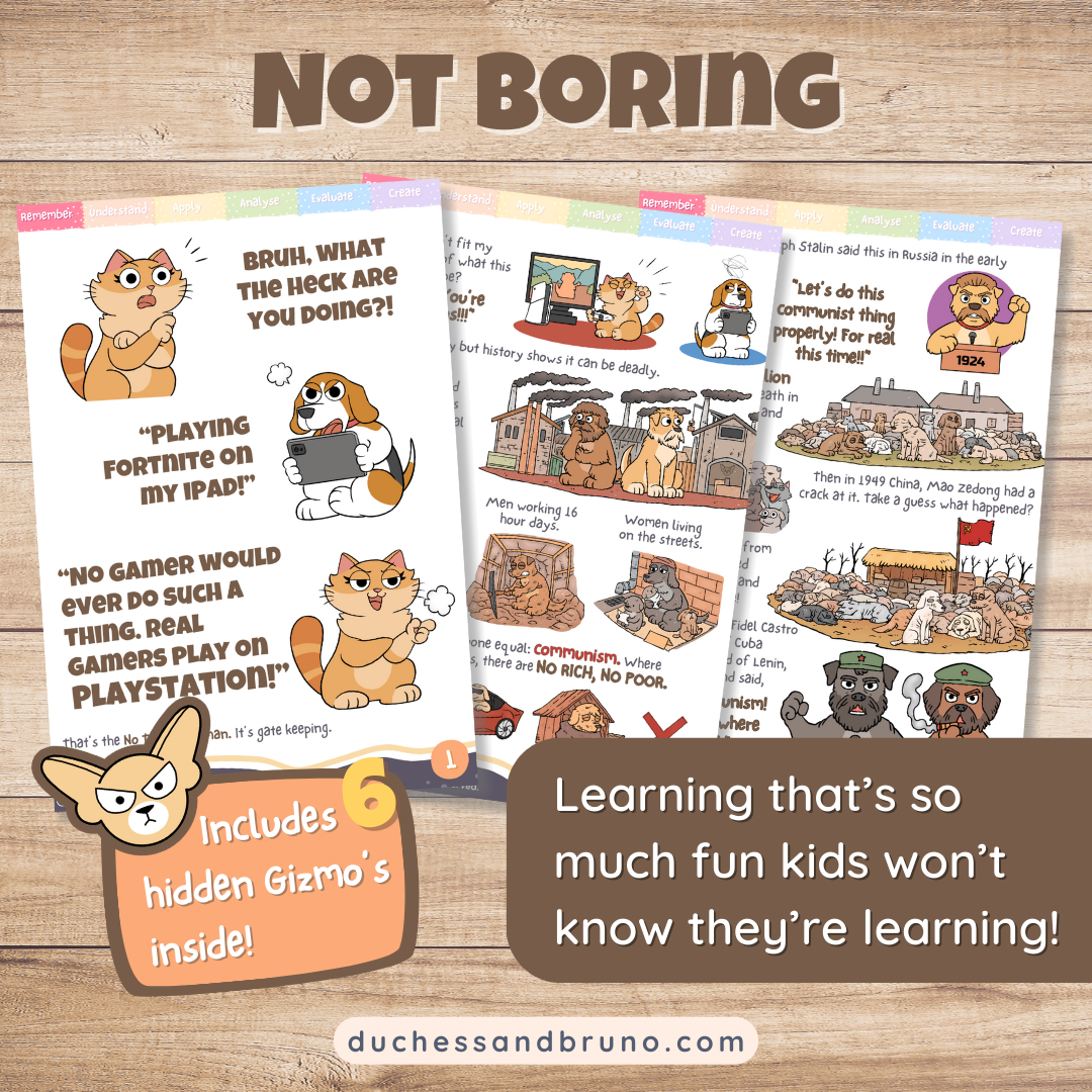 No True Scotsman Fallacy Activity Pack