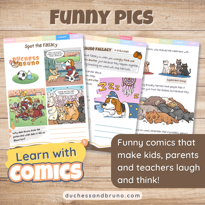 False Cause Fallacy Activity Pack