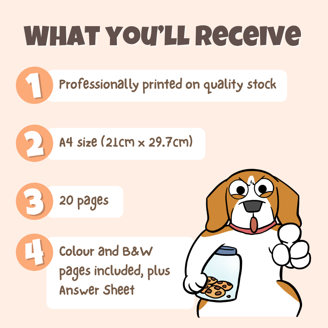 What you'll receive showing professionally printed activity pack on quality stock in A4 size with 20 pages including colour and black and white pages plus answer sheet