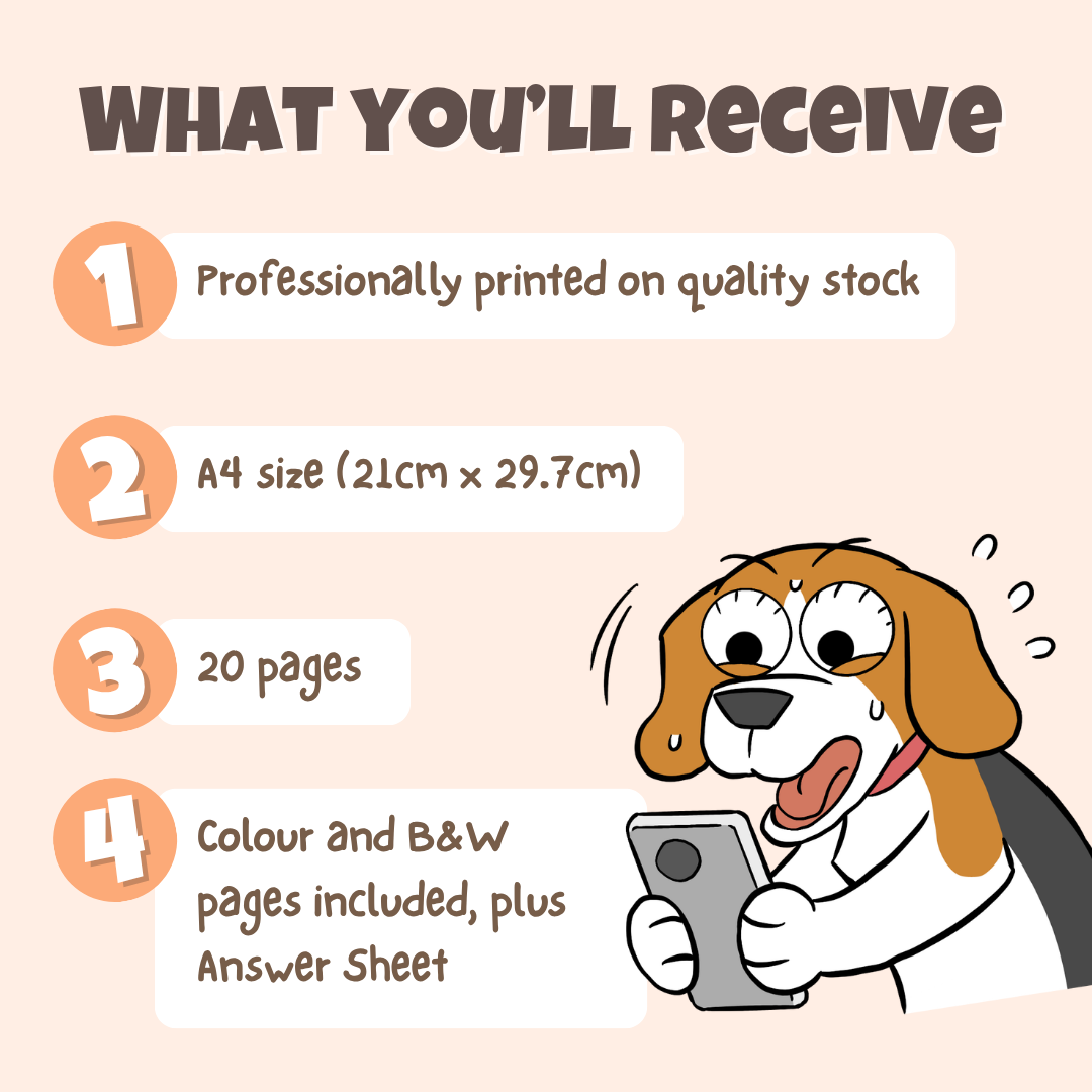 What you'll receive showing professionally printed activity pack on quality stock in A4 size with 20 pages including colour and black and white pages plus answer sheet