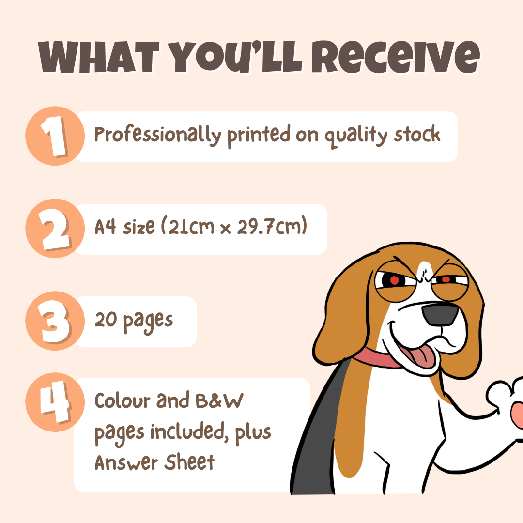 What you'll receive showing professionally printed activity pack on quality stock in A4 size with 20 pages including colour and black and white pages plus answer sheet